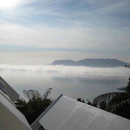 Te Whare -Lake Tarawera Tree-Top Nest Otel Dış mekan fotoğraf